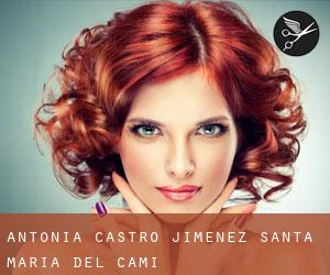 Antonia Castro Jimenez (Santa Maria del Camí)
