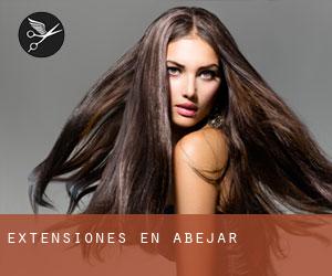 Extensiones en Abejar