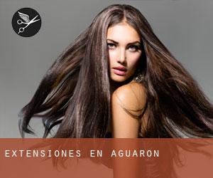 Extensiones en Aguarón