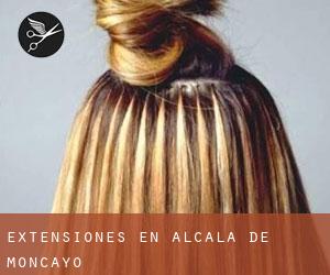 Extensiones en Alcalá de Moncayo Extensiones en Alcalá de Moncayo