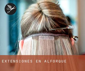 Extensiones en Alforque Extensiones en Alforque