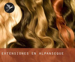 Extensiones en Alpanseque