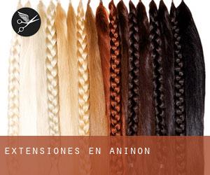 Extensiones en Aniñón