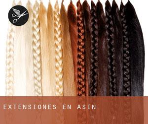 Extensiones en Asín