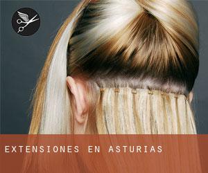 Extensiones en Asturias