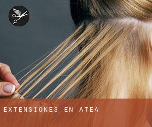 Extensiones en Atea