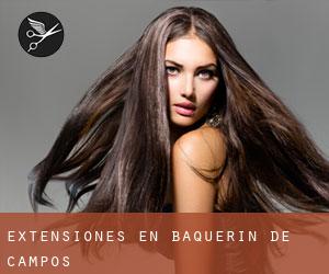 Extensiones en Baquerín de Campos Extensiones en Baquerín de Campos