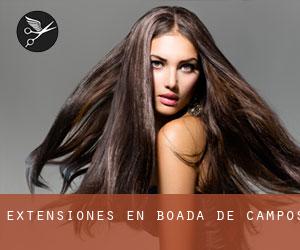 Extensiones en Boada de Campos