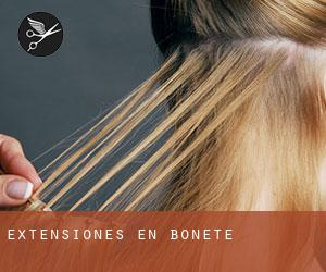 Extensiones en Bonete