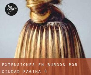 Extensiones en Burgos por ciudad - página 4