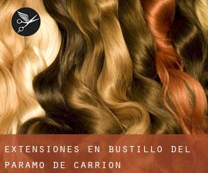 Extensiones en Bustillo del Páramo de Carrión Extensiones en Bustillo del Páramo de Carrión