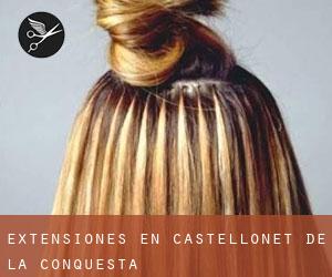 Extensiones en Castellonet de la Conquesta
