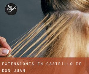 Extensiones en Castrillo de Don Juan