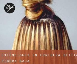 Extensiones en Erribera Beitia / Ribera Baja