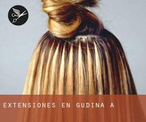 Extensiones en Gudiña (A)