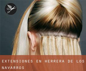 Extensiones en Herrera de los Navarros Extensiones en Herrera de los Navarros