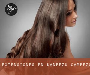 Extensiones en Kanpezu / Campezo