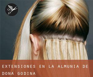 Extensiones en La Almunia de Doña Godina Extensiones en La Almunia de Doña Godina
