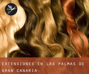 Extensiones en Las Palmas de Gran Canaria