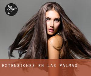 Extensiones en Las Palmas