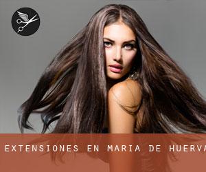 Extensiones en María de Huerva Extensiones en María de Huerva