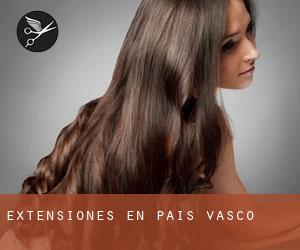 Extensiones en País Vasco