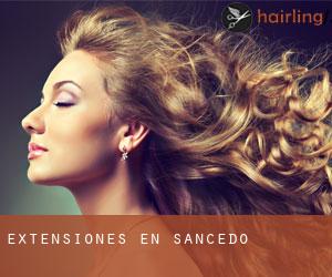 Extensiones en Sancedo