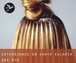 Extensiones en Santa Eulària des Riu Extensiones en Santa Eulària des Riu