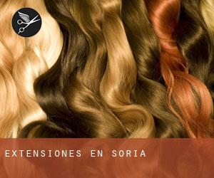 Extensiones en Soria Extensiones en Soria