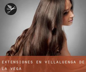 Extensiones en Villaluenga de la Vega