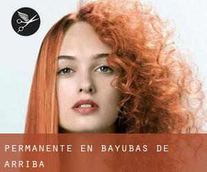 Permanente en Bayubas de Arriba Permanente en Bayubas de Arriba