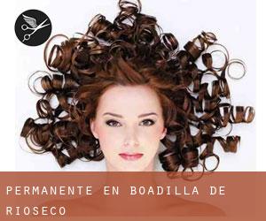 Permanente en Boadilla de Rioseco Permanente en Boadilla de Rioseco