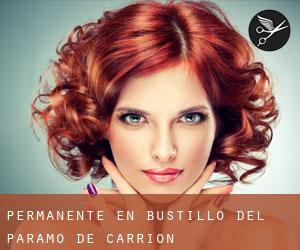 Permanente en Bustillo del Páramo de Carrión Permanente en Bustillo del Páramo de Carrión