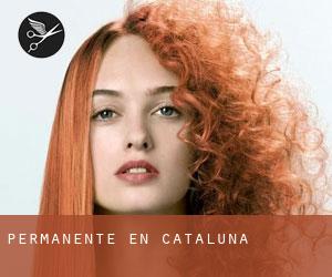 Permanente en Cataluña Permanente en Cataluña