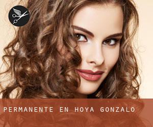 Permanente en Hoya-Gonzalo