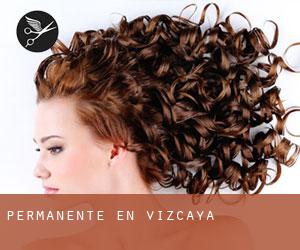 Permanente en Vizcaya Permanente en Vizcaya