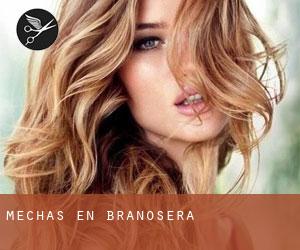 Mechas en Brañosera