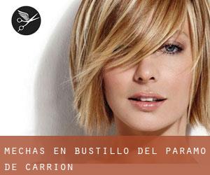 Mechas en Bustillo del Páramo de Carrión Mechas en Bustillo del Páramo de Carrión
