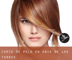 Corte de pelo en Abia de las Torres Corte de pelo en Abia de las Torres