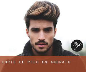 Corte de pelo en Andratx Corte de pelo en Andratx