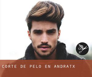 Corte de pelo en Andratx