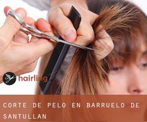 Corte de pelo en Barruelo de Santullán Corte de pelo en Barruelo de Santullán