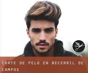 Corte de pelo en Becerril de Campos Corte de pelo en Becerril de Campos