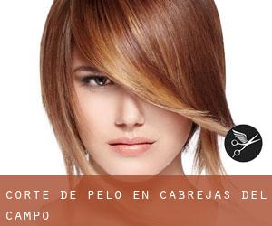 Corte de pelo en Cabrejas del Campo Corte de pelo en Cabrejas del Campo