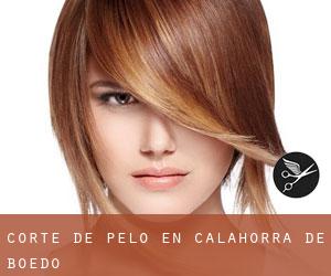 Corte de pelo en Calahorra de Boedo Corte de pelo en Calahorra de Boedo