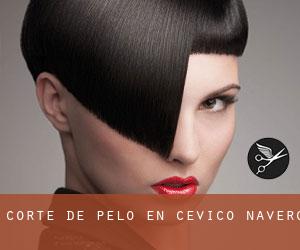 Corte de pelo en Cevico Navero