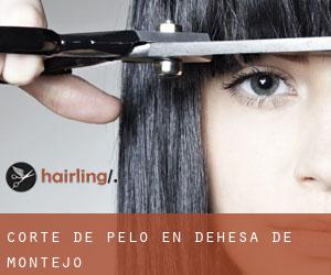 Corte de pelo en Dehesa de Montejo