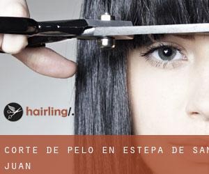 Corte de pelo en Estepa de San Juan Corte de pelo en Estepa de San Juan