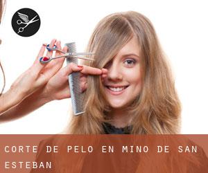 Corte de pelo en Miño de San Esteban