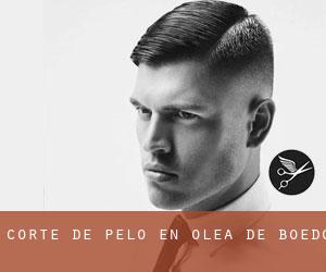 Corte de pelo en Olea de Boedo Corte de pelo en Olea de Boedo